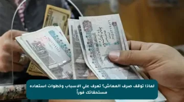 لماذا توقف صرف المعاش؟ تعرف على الأسباب وخطوات استعادة مستحقاتك فوراً